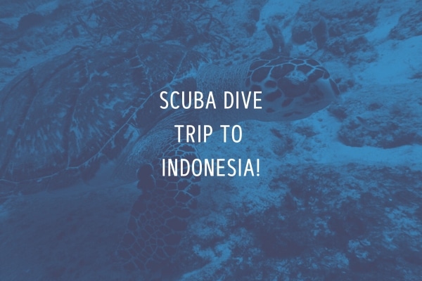 SCUBA dive trip to Indonesia